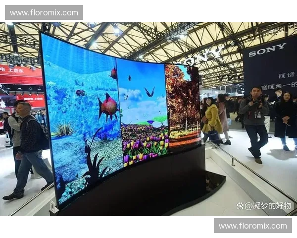 免费高清直播：畅享视觉盛宴的未来新体验