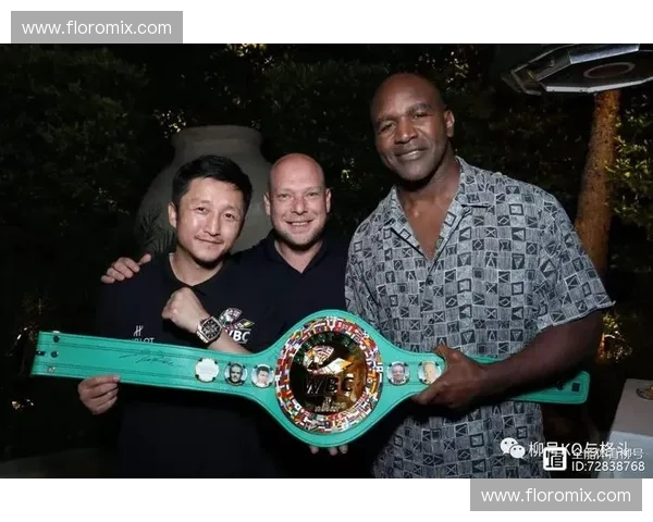 拳击赛程：掌握节奏，触碰传奇