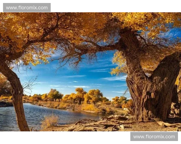 权健风云再起？一场“对决”的背后，是重塑与新生